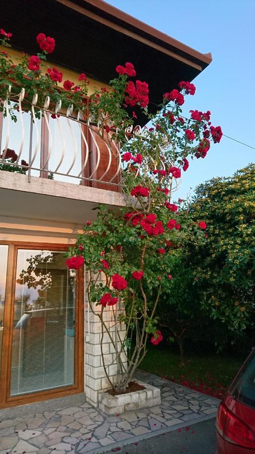 Apartma Niko Apartment