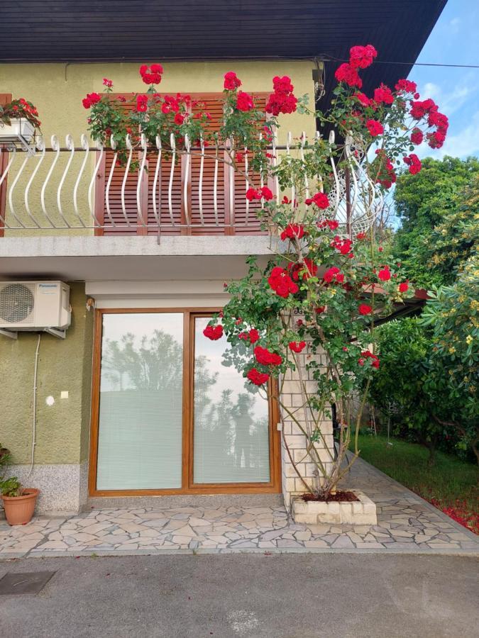 Apartma Niko Apartament *
